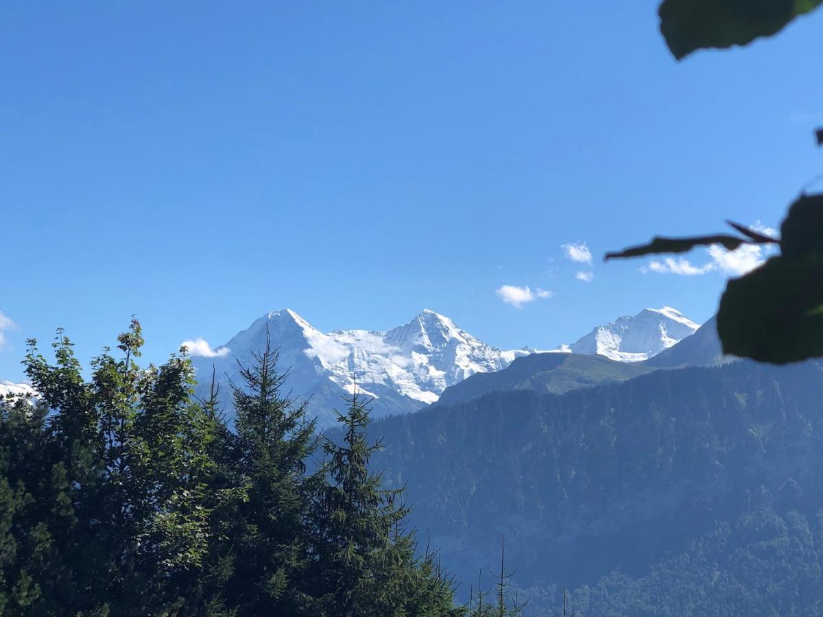 Wohnung Mit See Und Bergsicht Im Vier Sterne Hotel Beatenberg Exterior foto