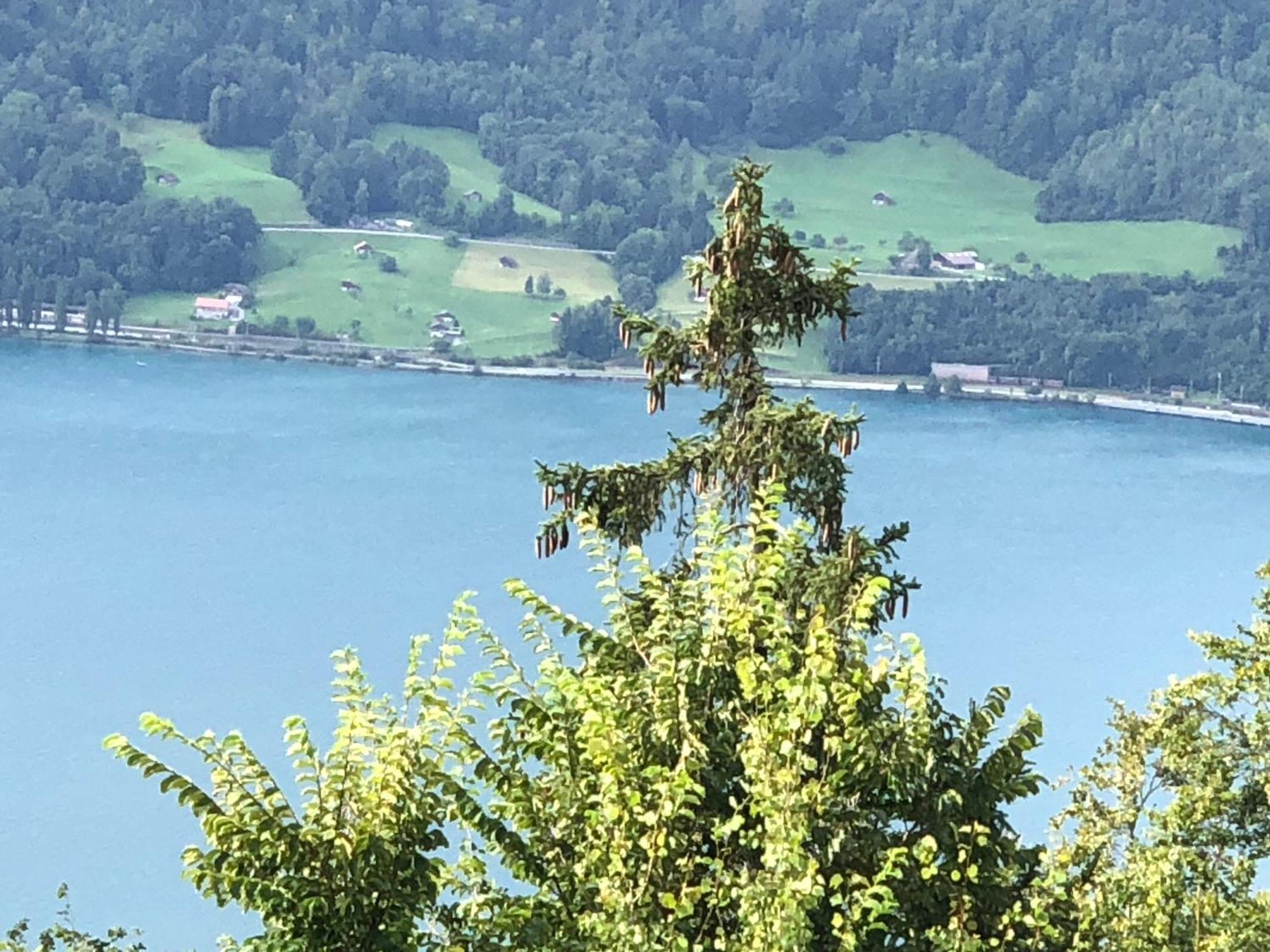 Wohnung Mit See Und Bergsicht Im Vier Sterne Hotel Beatenberg Exterior foto